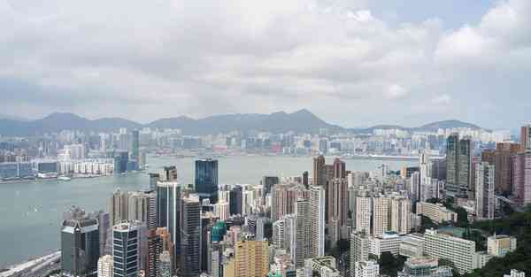 w加速器官网地址